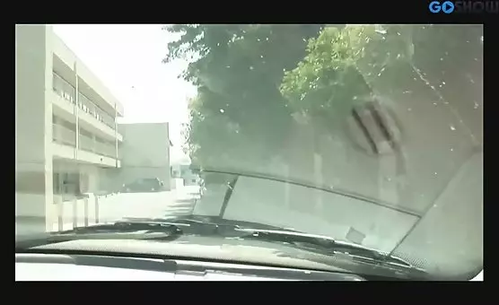 Car Blowjob, Later Position Play
