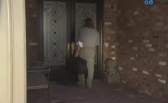 Staircase Seduction Longhaired Man Pleases Loving Lady