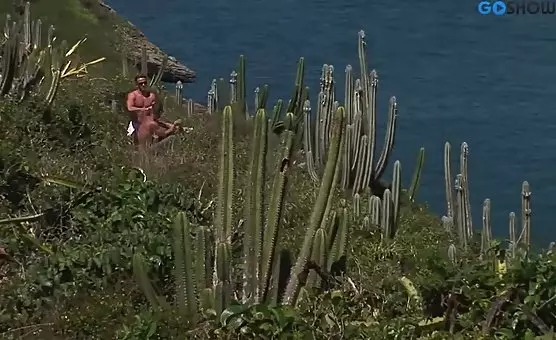 Hilltop Ocean Orgy