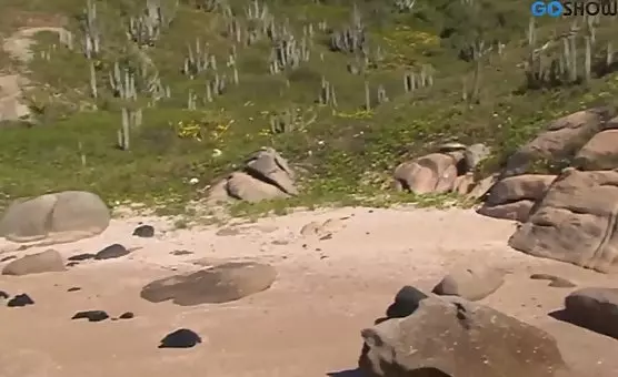 Wild Outdoor Blowbang Orgy